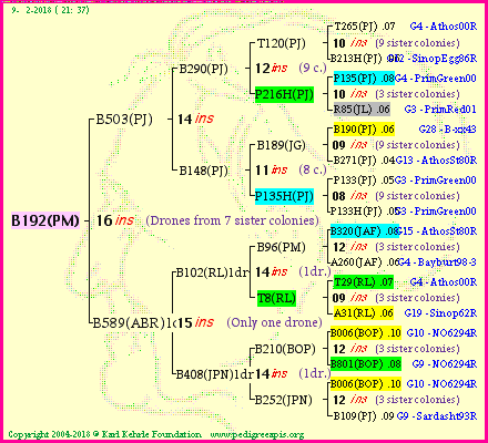 Pedigree of B192(PM) :
four generations presented