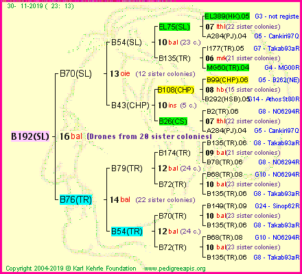 Pedigree of B192(SL) :
four generations presented<br />it's temporarily unavailable, sorry!