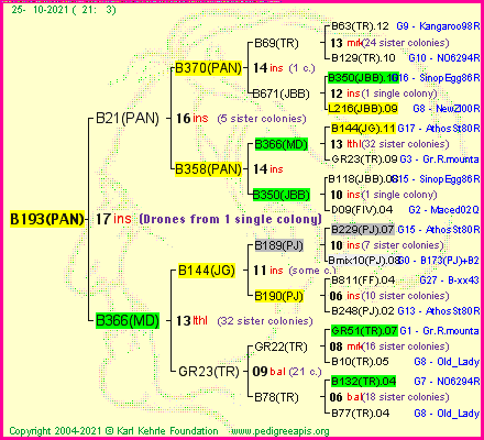 Pedigree of B193(PAN) :
four generations presented
it's temporarily unavailable, sorry!