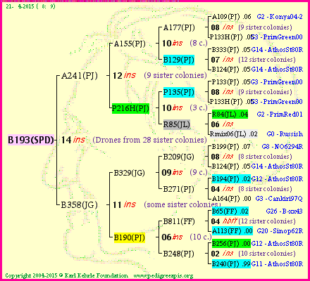 Pedigree of B193(SPD) :
four generations presented