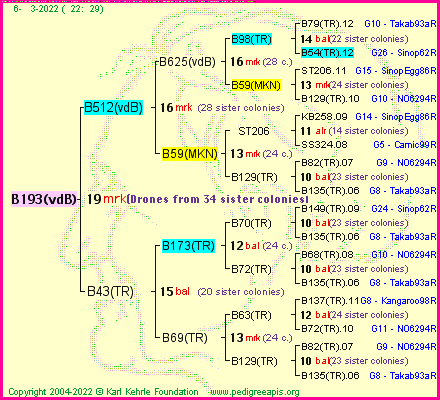 Pedigree of B193(vdB) :
four generations presented
it's temporarily unavailable, sorry!