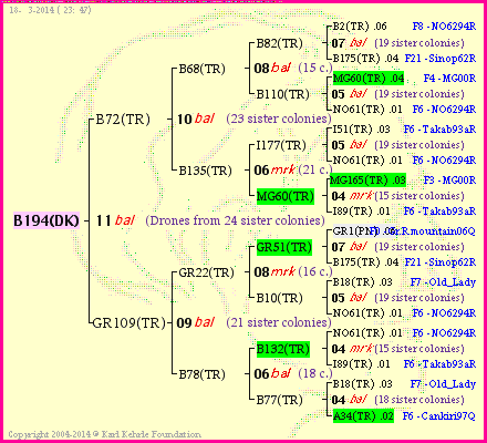 Pedigree of B194(DK) :
four generations presented