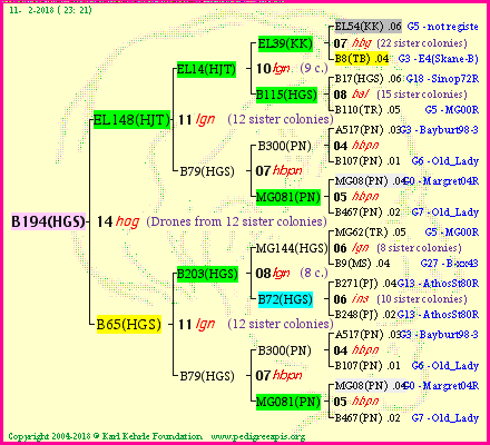 Pedigree of B194(HGS) :
four generations presented
it's temporarily unavailable, sorry!