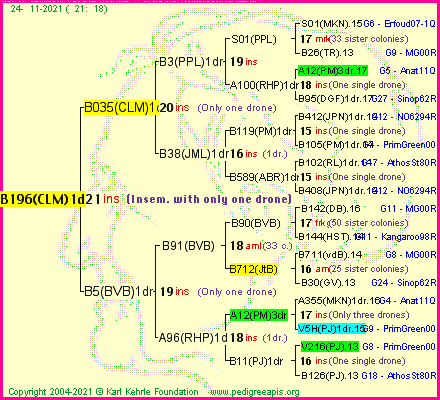 Pedigree of B196(CLM)1dr :
four generations presented
it's temporarily unavailable, sorry!