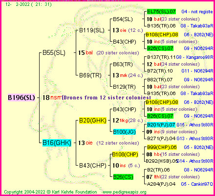 Pedigree of B196(SL) :
four generations presented
it's temporarily unavailable, sorry!