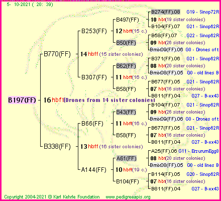 Pedigree of B197(FF) :
four generations presented
it's temporarily unavailable, sorry!