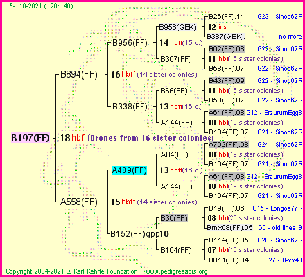 Pedigree of B197(FF) :
four generations presented
it's temporarily unavailable, sorry!