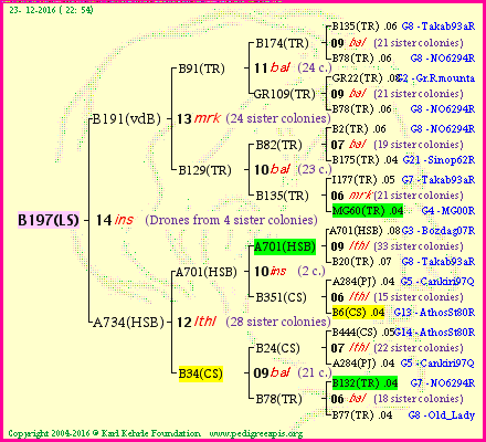 Pedigree of B197(LS) :
four generations presented