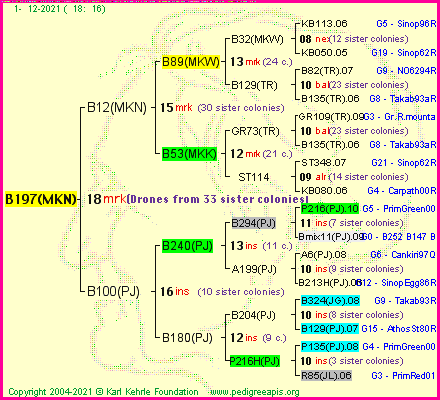 Pedigree of B197(MKN) :
four generations presented
it's temporarily unavailable, sorry!