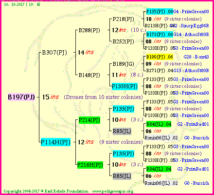 Pedigree of B197(PJ) :
four generations presented<br />it's temporarily unavailable, sorry!