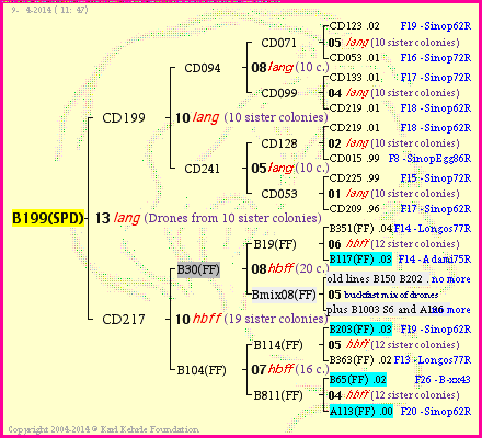 Pedigree of B199(SPD) :
four generations presented