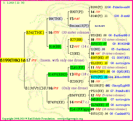 Pedigree of B199(THK)1dr :
four generations presented<br />it's temporarily unavailable, sorry!