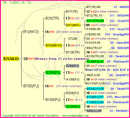 Pedigree of B2(AKO) :
four generations presented<br />it's temporarily unavailable, sorry!