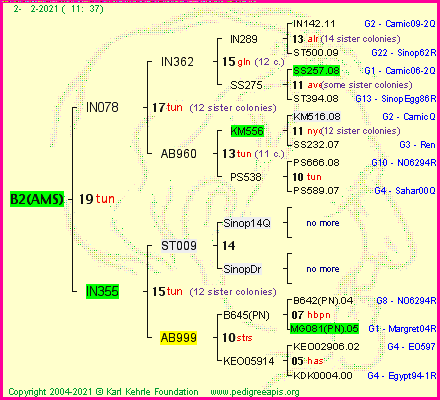 Pedigree of B2(AMS) :
four generations presented
it's temporarily unavailable, sorry!