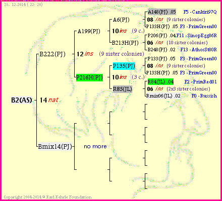 Pedigree of B2(AS) :
four generations presented