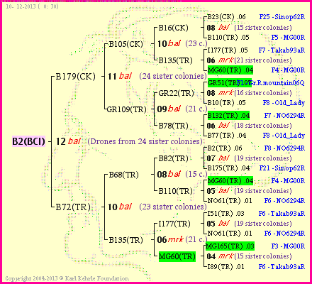 Pedigree of B2(BCI) :
four generations presented