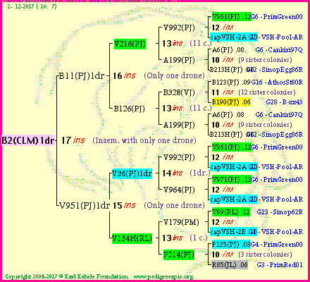 Pedigree of B2(CLM)1dr :
four generations presented