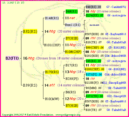 Pedigree of B2(FTI) :
four generations presented