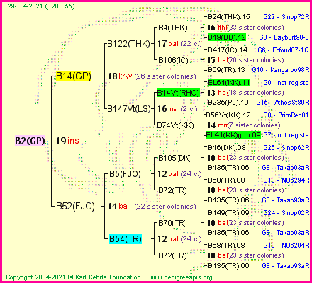 Pedigree of B2(GP) :
four generations presented
it's temporarily unavailable, sorry!