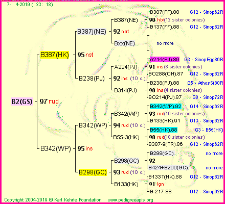 Pedigree of B2(GS) :
four generations presented
it's temporarily unavailable, sorry!