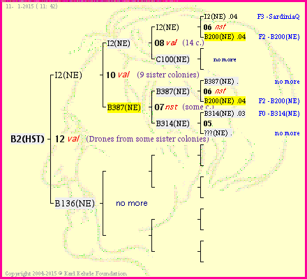 Pedigree of B2(HST) :
four generations presented