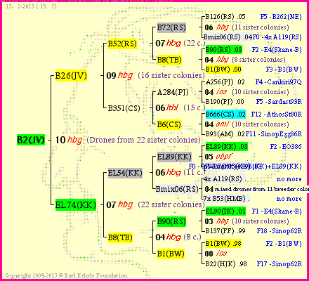 Pedigree of B2(JV) :
four generations presented