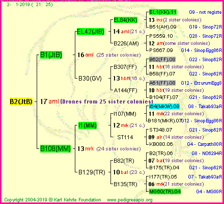 Pedigree of B2(JtB) :
four generations presented<br />it's temporarily unavailable, sorry!