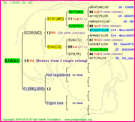 Pedigree of B2(KKI) :
four generations presented<br />it's temporarily unavailable, sorry!