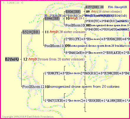 Pedigree of B2(MA) :
four generations presented<br />it's temporarily unavailable, sorry!