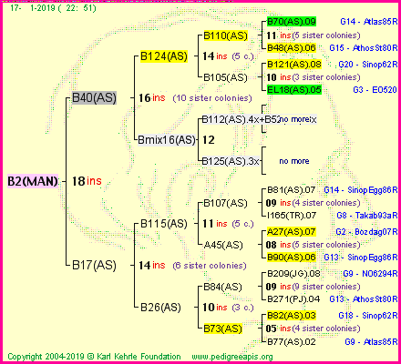 Pedigree of B2(MAN) :
four generations presented
it's temporarily unavailable, sorry!