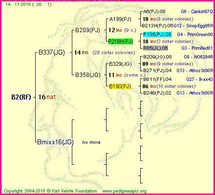 Pedigree of B2(RF) :
four generations presented<br />it's temporarily unavailable, sorry!