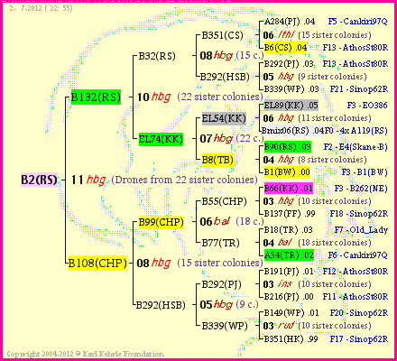 Pedigree of B2(RS) :
four generations presented