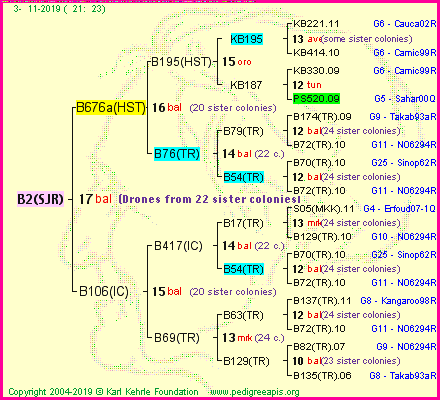 Pedigree of B2(SJR) :
four generations presented<br />it's temporarily unavailable, sorry!