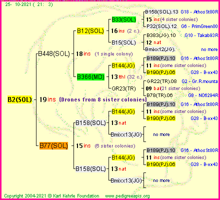 Pedigree of B2(SOL) :
four generations presented
it's temporarily unavailable, sorry!