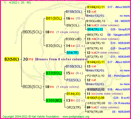 Pedigree of B2(SOL) :
four generations presented
it's temporarily unavailable, sorry!