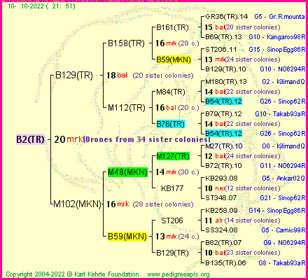 Pedigree of B2(TR) :
four generations presented
it's temporarily unavailable, sorry!