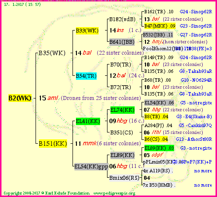 Pedigree of B2(WK) :
four generations presented