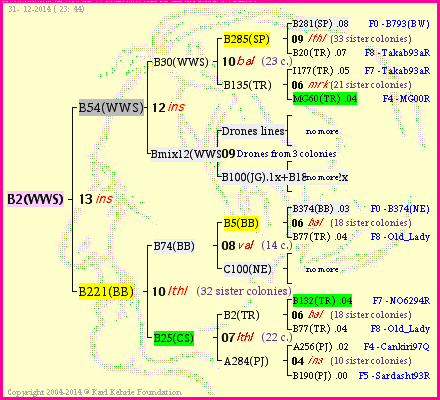 Pedigree of B2(WWS) :
four generations presented