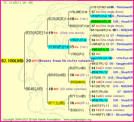 Pedigree of B2.100(JtB) :
four generations presented
it's temporarily unavailable, sorry!