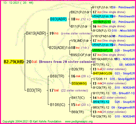 Pedigree of B2.79(JtB) :
four generations presented
it's temporarily unavailable, sorry!