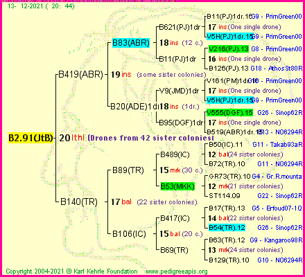 Pedigree of B2.91(JtB) :
four generations presented
it's temporarily unavailable, sorry!