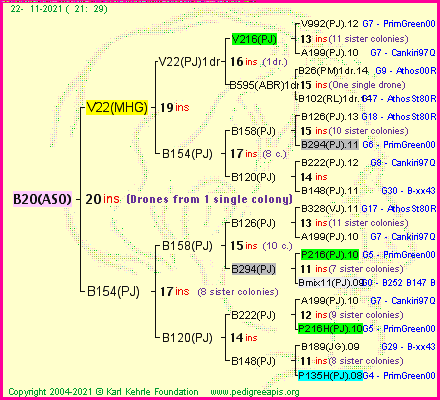 Pedigree of B20(ASO) :
four generations presented
it's temporarily unavailable, sorry!