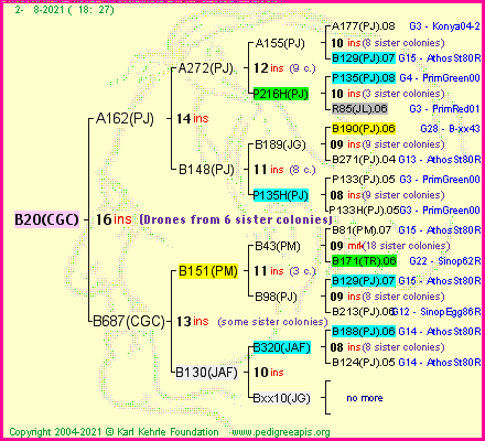 Pedigree of B20(CGC) :
four generations presented
it's temporarily unavailable, sorry!