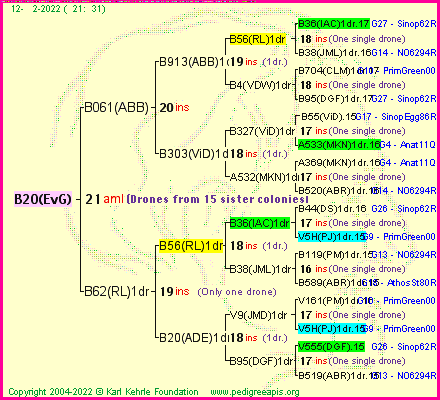 Pedigree of B20(EvG) :
four generations presented
it's temporarily unavailable, sorry!