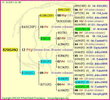 Pedigree of B20(GHK) :
four generations presented