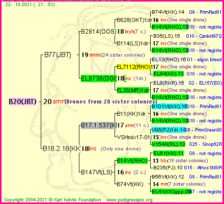 Pedigree of B20(JBT) :
four generations presented
it's temporarily unavailable, sorry!