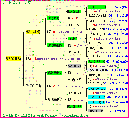 Pedigree of B20(JtB) :
four generations presented
it's temporarily unavailable, sorry!