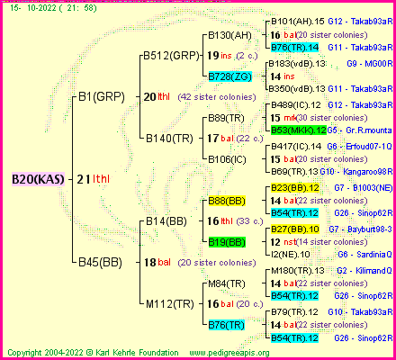 Pedigree of B20(KAS) :
four generations presented
it's temporarily unavailable, sorry!