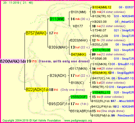 Pedigree of B20(MAK)1dr :
four generations presented<br />it's temporarily unavailable, sorry!