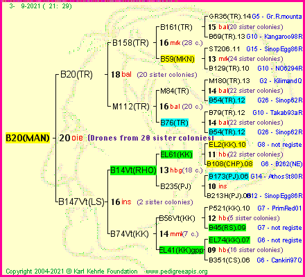 Pedigree of B20(MAN) :
four generations presented
it's temporarily unavailable, sorry!